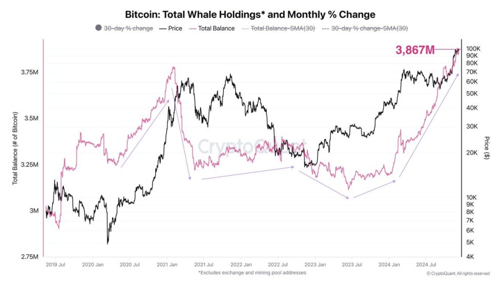 Bitcoin total whale holdings 